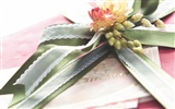 Gift decoration wallpaper (2) #12