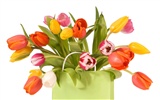 Velký tulipán tapety (1) #4