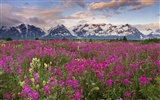 Canadian Landscape HD Wallpaper (2) #13