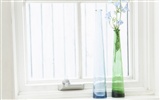 Home Still Life Wallpaper (14) #6