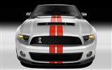 Ford Mustang GT500 Tapety #3