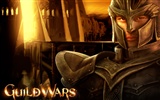 Guildwars wallpaper (1) #7