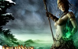 Guildwars wallpaper (1) #10