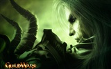 Guildwars Wallpaper (1) #13