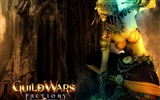 Guildwars 壁紙(一) #14