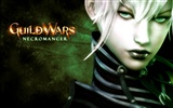 Guildwars wallpaper (1) #15