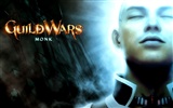 Guildwars Wallpaper (1) #16