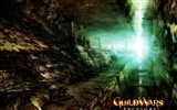 Fond d'écran Guildwars (1) #18