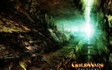 Guildwars Wallpaper (1) #18