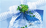 Gift decoration wallpaper (4) #8