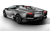 2010 Lamborghini wallpaper #5