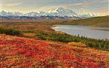 Alaska Landschaft Wallpaper (1) #20