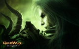 Guildwars fondo de pantalla (3) #11