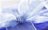 Gift decoration wallpaper (6) #17