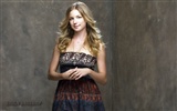 Emily VanCamp krásnou tapetu #8