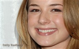 Emily VanCamp krásnou tapetu #9