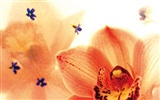 Širokoúhlý tapety květiny close-up (3) #5
