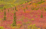 Fond d'écran paysage de l'Alaska (2) #2