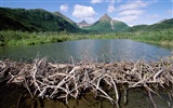 Fond d'écran paysage de l'Alaska (2) #9