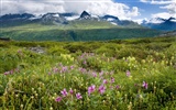 Fond d'écran paysage de l'Alaska (2) #12