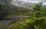 Alaska scenery wallpaper (2) #17