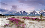 Fondos de escritorio de paisajes de Alaska (2) #18