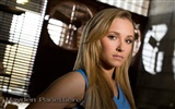 Hayden Panettiere 海頓·潘妮蒂爾美女壁紙 #7