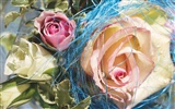 Widescreen-Wallpaper Blumen close-up (4) #2