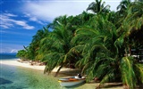 Beach Insel Wallpaper (1) #5