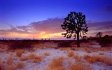 California Scenery Wallpapers (1) #14