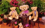 Cadeaux Bear wallpaper #3