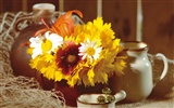 Widescreen wallpaper flowers close-up (5) #17