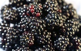Fond d'écran Caractéristiques de gros fruits (2) #10