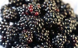 Features large fruit wallpaper (2) #10