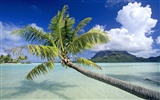 Beach Insel Wallpaper (2) #26