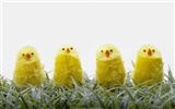 Easter wallpaper album (11) #10