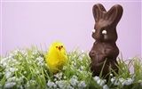 Easter wallpaper album (11) #11