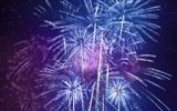 Farbenprächtiges Feuerwerk HD Wallpaper #15