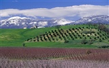 Italian Landscape wallpaper (1) #4