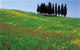 Italienische Landschaft Wallpaper (1) #19