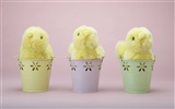 Easter wallpaper album (12) #17