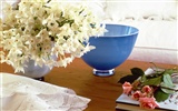 Cubierta de flores fondos de escritorio (5)