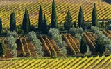 Italienische Landschaft Wallpaper (2) #17