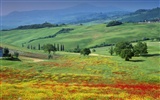 Italienische Landschaft Wallpaper (2) #19
