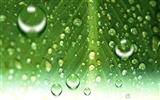 Colorful Water drops HD wallpaper #7