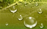 Colorful Water drops HD wallpaper #13