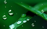 Colorful Water drops HD wallpaper #17