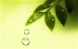 Colorful Water drops HD wallpaper #20