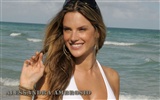 Alessandra Ambrosio 亞歷山大·安布羅休美女壁紙(一) #3