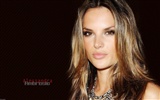 Alessandra Ambrosio hermoso fondo de pantalla (1) #20